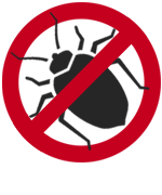Bed Bugs