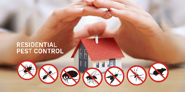 Residential Pest Control